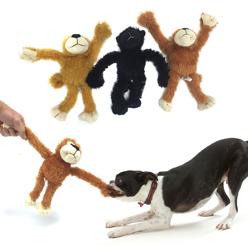 dog playing with toy monkey