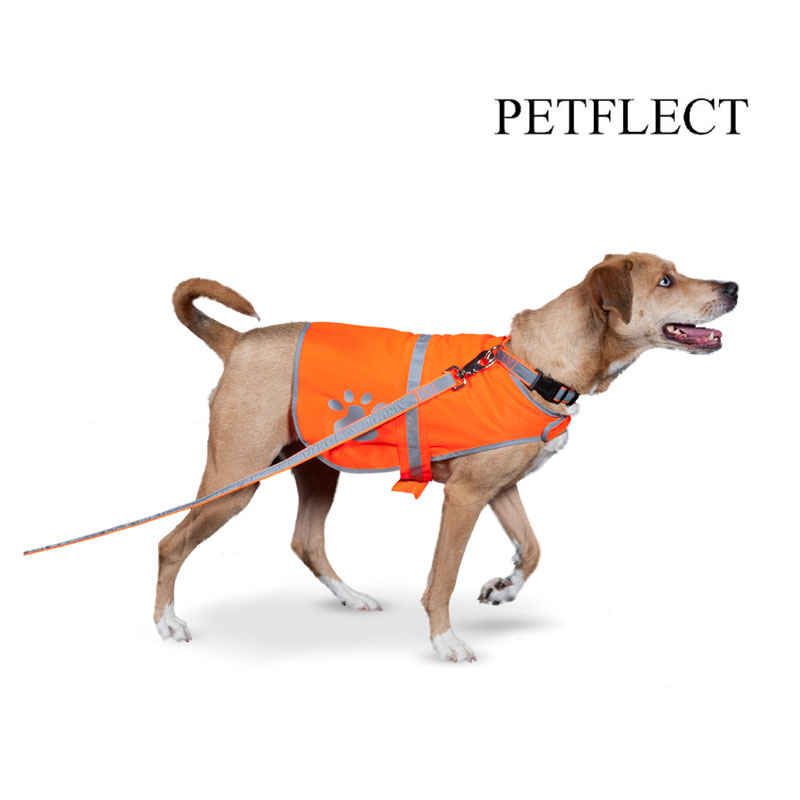  Shopping Jammin Bargains,  others, reflective, dog, pet, vest, paw, print, adjustable