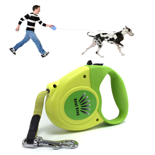  Shopping Jammin Bargains,  shopping bargains, outdoors, leash, dog, pet, free, freebie, deal, walk, 13Deals, home, family