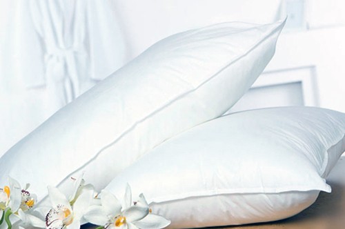 Deluxe 100% Natural White Goose Filling Down 20