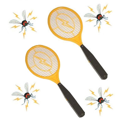 2 Pack Swatter