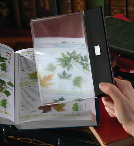 Page Bright Magnifying Book Light
