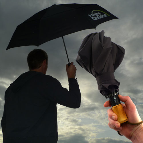 Compact Auto Open / Auto Close Umbrellas by Shed Rain - SHIPS FREE! Compact Auto Open / Auto Close Umbrellas by Shed Rain - SHIPS FREE!