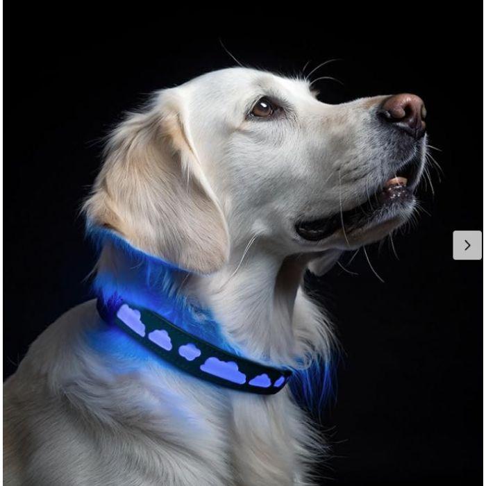 Waterproof LED AirTag Dog Collar (Size Large) – Keep your dog safe and easy to spot with this waterproof LED collar featuring a built-in AirTag holder and comfortable adjustable fit. Bright visibility, secure tracking, and all-day comfort for walks, hikes, and everyday adventures. - SHIPS FREE!
