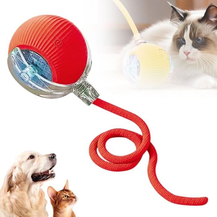 Interactive Self Rolling Cat Toy - SHIPS FREE!