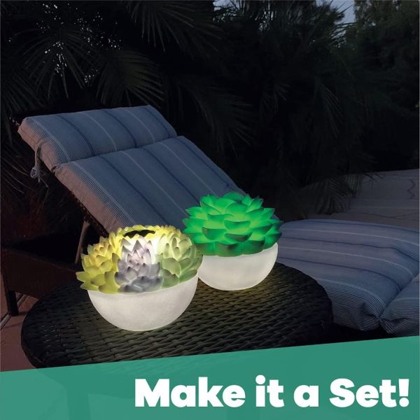 Solar Powered Succulent Patio Glo with Remote - It even floats if you