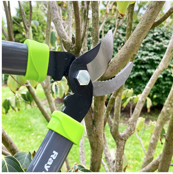 Ray Padula Lopper and Heavy Duty Pruner Set - Yes, you get BOTH the ...